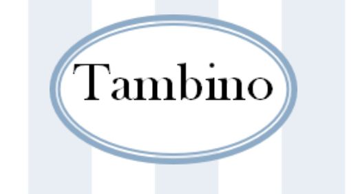 Tambino Socks