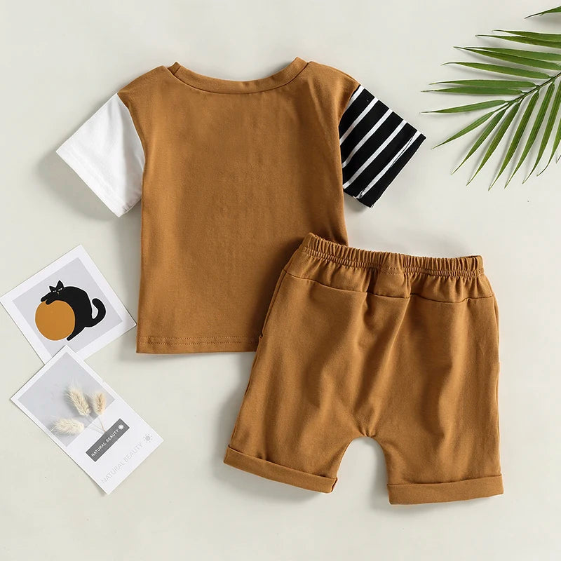 Boys Toddler Brown Shorts and T shirt Set