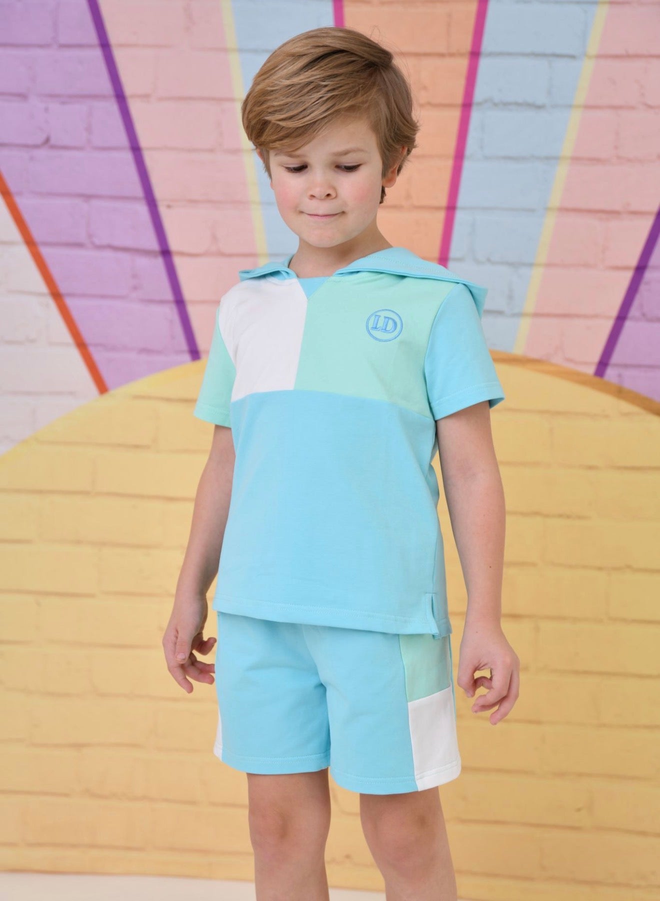 Little Dudes Boys Sky Shorts & Hooded T shirt